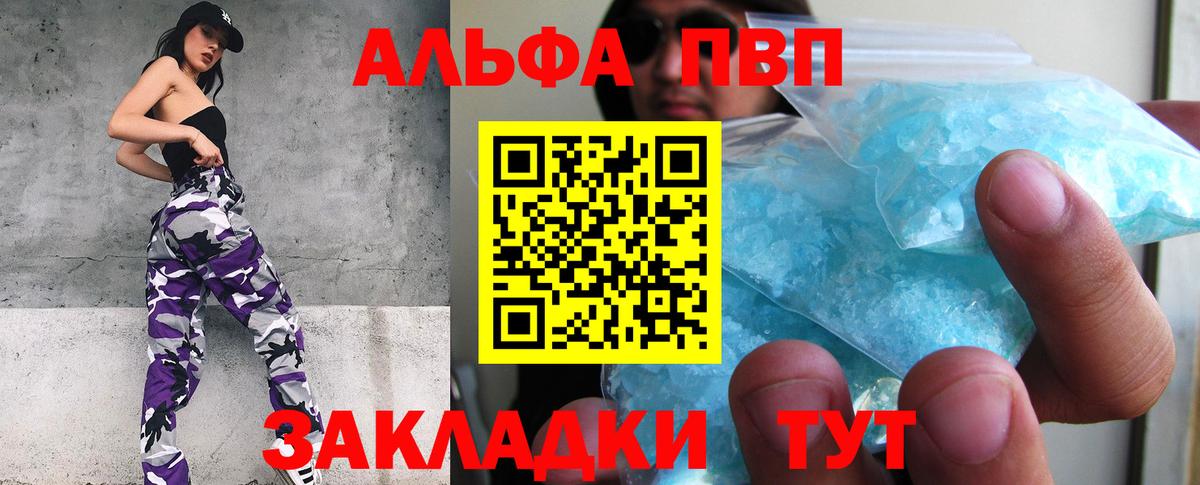 A PVP СК КРИС Обь