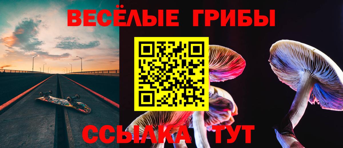 Псилоцибиновые грибы Psilocybine cubensis  купить наркотик  Обь  Вход с VPN 